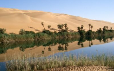 Discovering the Most Popular Libyan Foods: A Mouth-Watering Journey