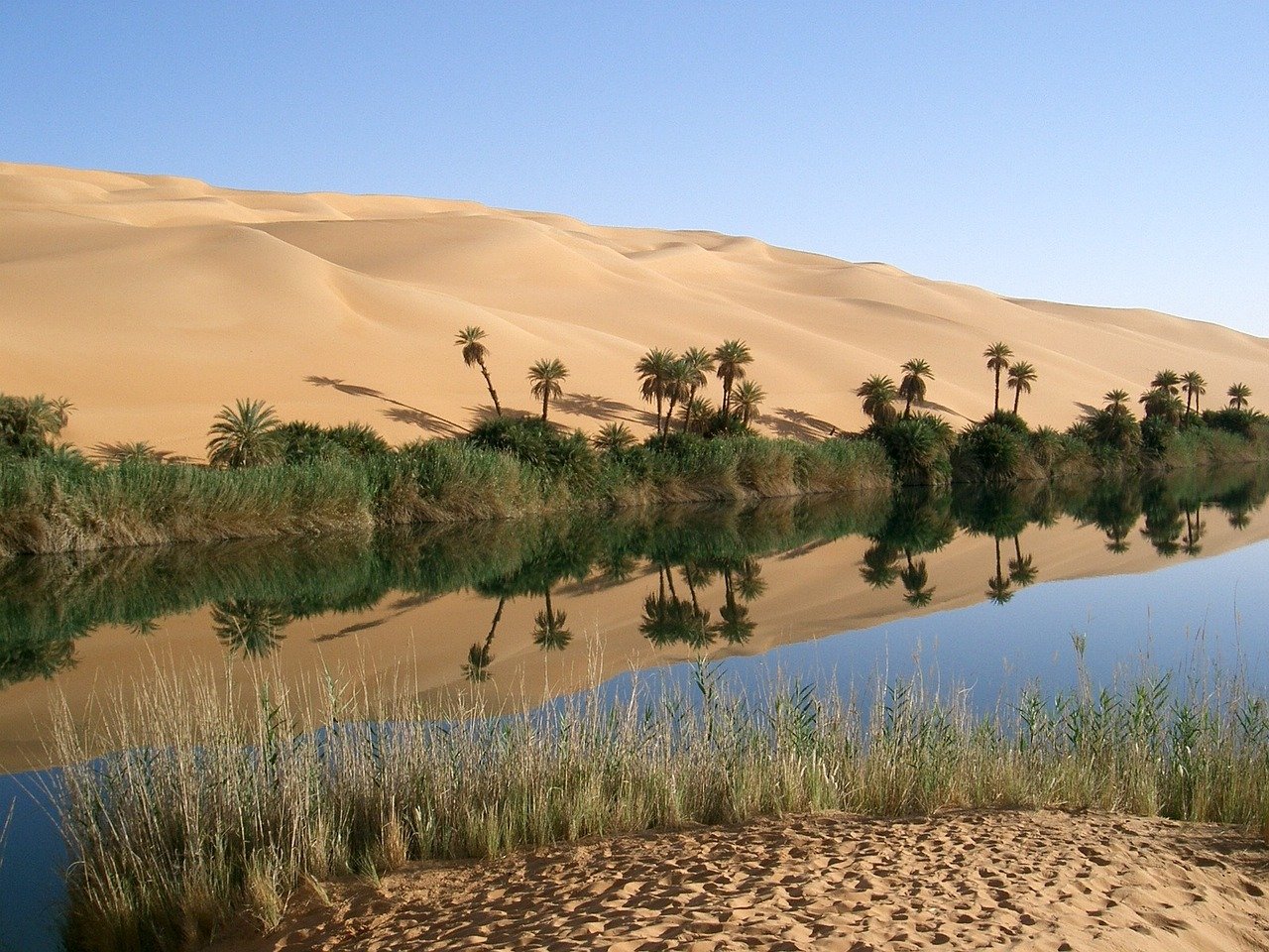 oasis, libya, desert