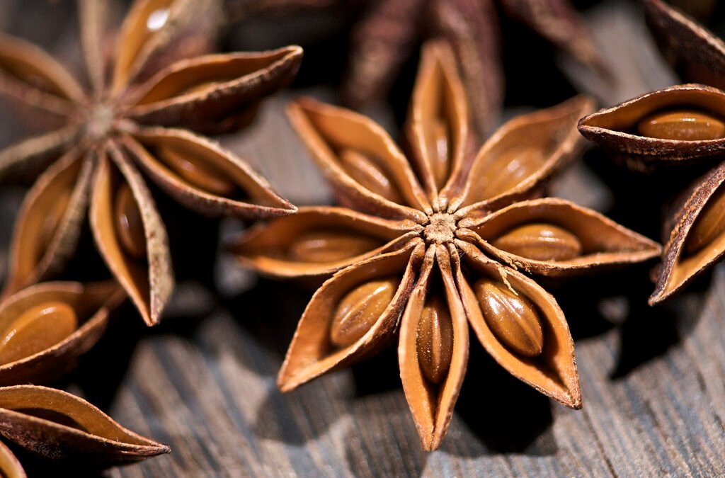 Anise Seeds: Benefits and Uses