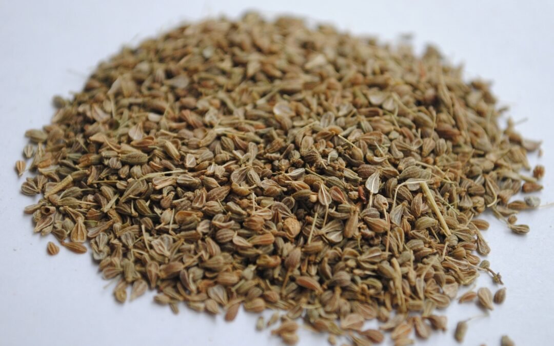Caraway Spice: A Versatile and Flavorful Spice for Your Kitchen