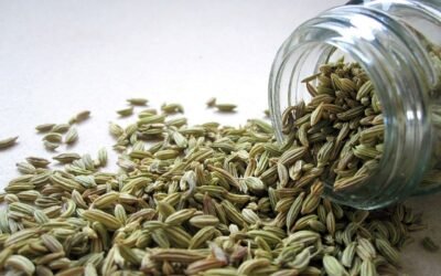 Fennel Seeds: A Guide to Benefits and Uses
