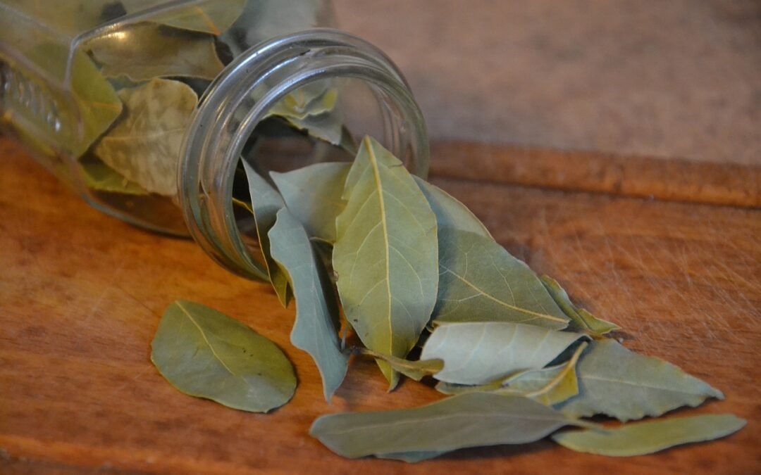 Bay Leaves: The Aromatic Herb That Elevates Your Cooking