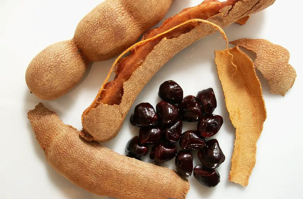 Tamarind: A Sweet and Sour Fruit Packed with Health Benefits