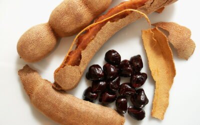 Tamarind: A Sweet and Sour Fruit Packed with Health Benefits