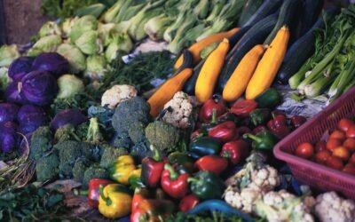 Why the Mediterranean Diet is So Healthy: Exploring the Benefits of this Delicious and Nutritious Eating Plan