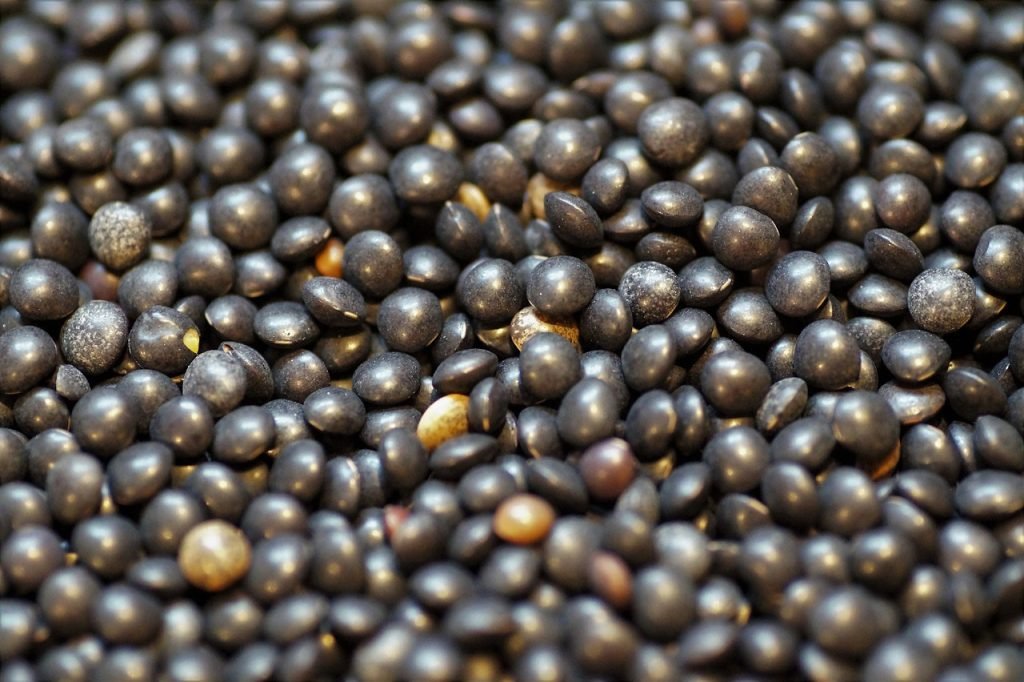 lentil, black, beluga