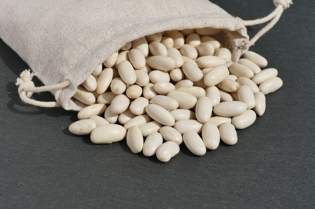 white beans, cannellini beans, bean seeds