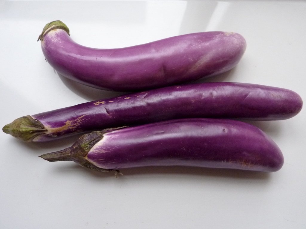 chinese eggplant