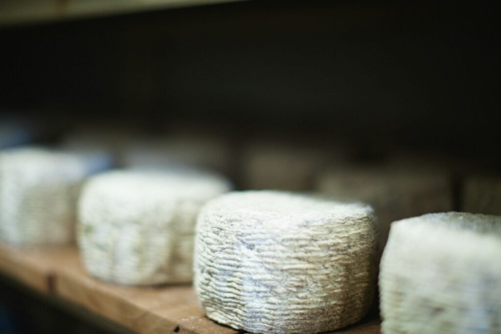 goat cheese