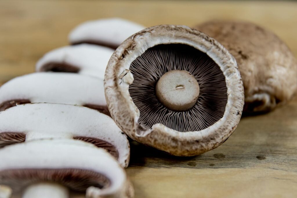 portobello mushroom
